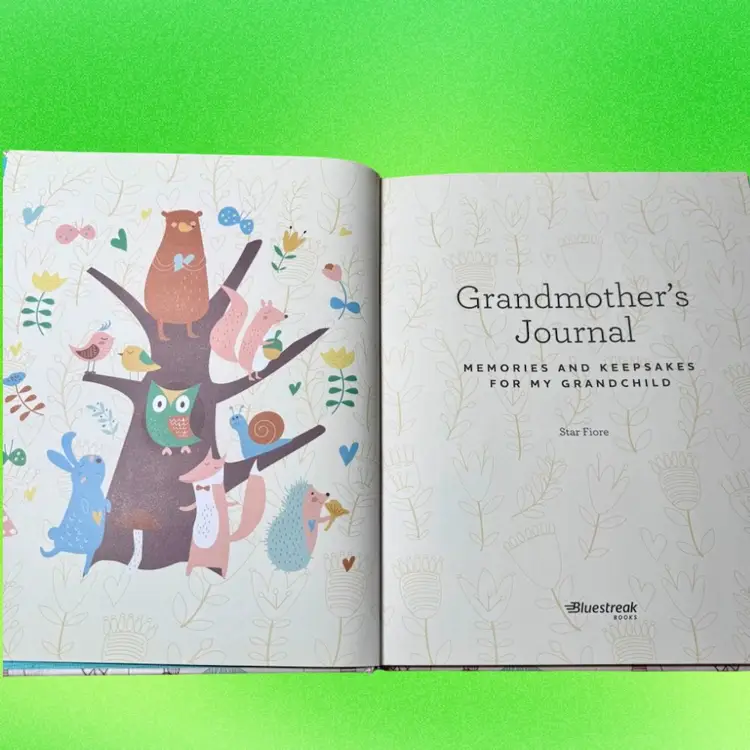 2017 Grandmothers Journal, Memories & Keepsakes For My Grandchild HC Book UNUSED