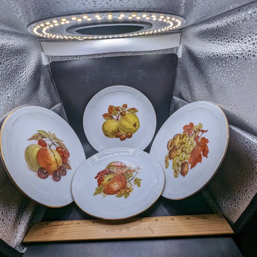 Vintage Set of 4 Kahla German Democratic Republic FRUIT Lunch Salad Plates