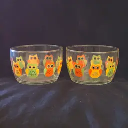 Owl Glass Bowls Libbey Crisa Hoot! 4¼" Diameter (set of 2) Vintage with Manufacture Issue
