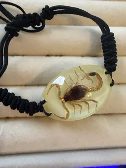 Adjustable Bug Bracelet It GLOWS