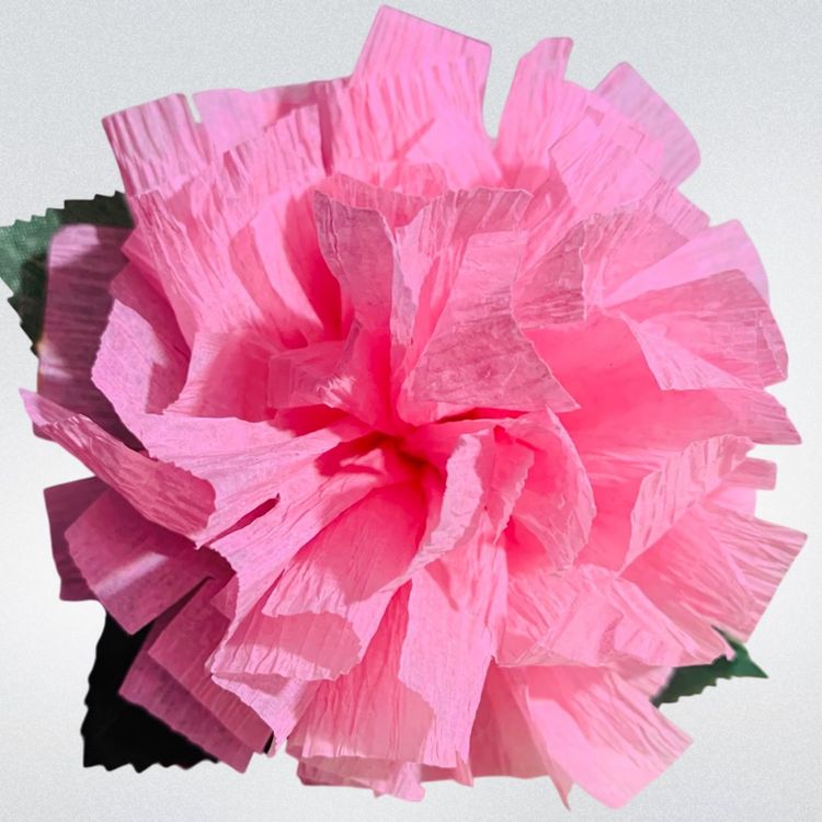 Vibrant Crepe Paper Flowers Made By Me Baby’s Breath Pink Color Marigold Carnation Blossom 3.5-4” Diameter Blossom And 5.5-6” Tall Overall
