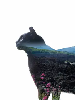 Adventurer Spirit Print