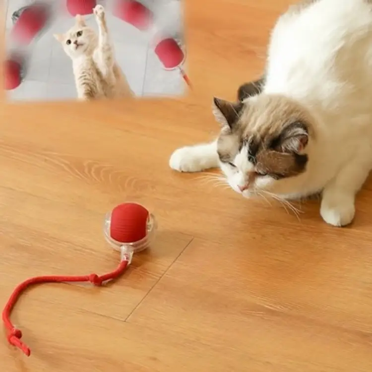 Interactive Cat Toy NEW