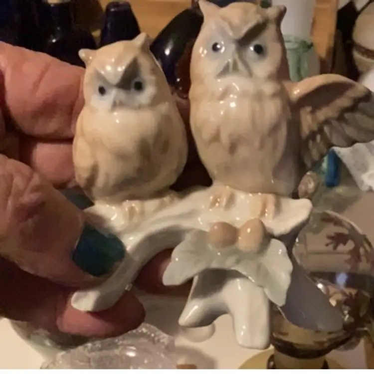 Pretty Owls