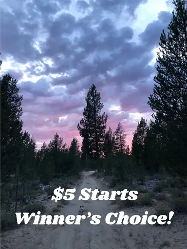 $5 Starts— Winner’s Choice! w/ Koalatea 🐨