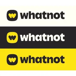 100pcs Whatnot Trendy Starter Box