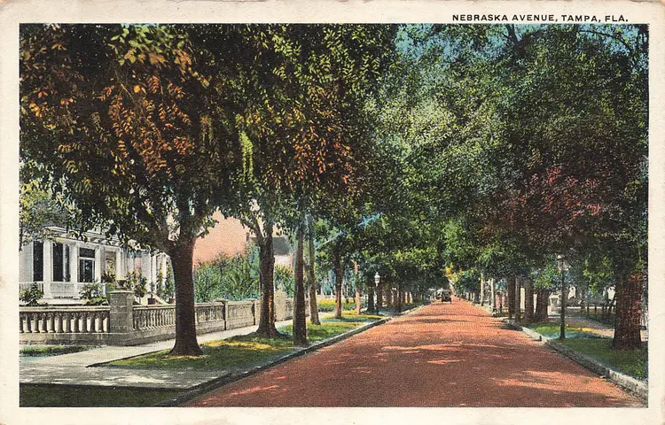 TAMPA FLORIDA~NEBRASKA AVENUE~1920s ANTIQUE VINTAGE POSTCARD