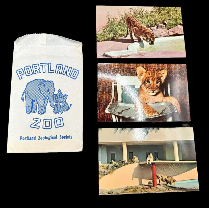 Set of 3 Vintage 1970s Portland Oregon Zoo Postcards in Bag Lion Tiger Big Cats