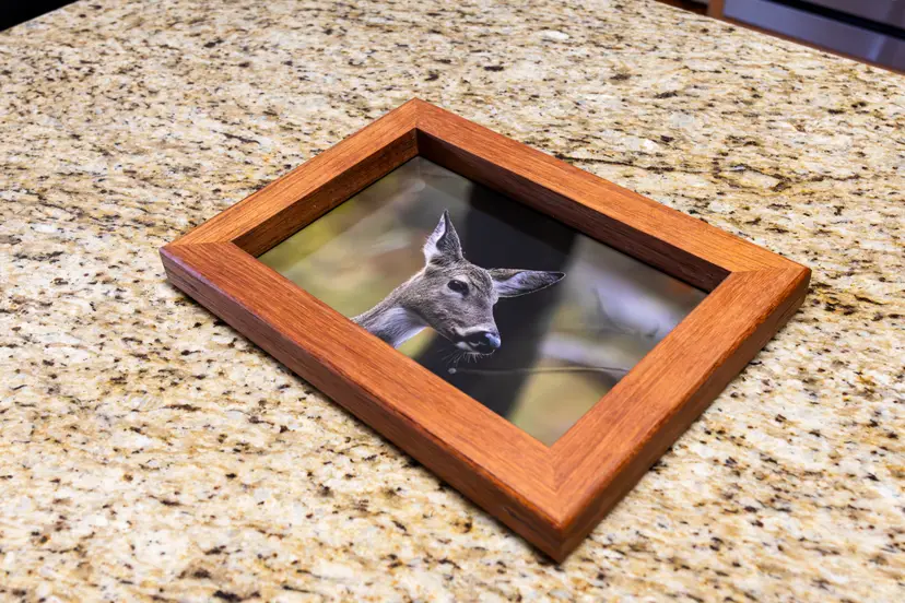 Quiet Departure - Fine Art Wildlife Photograph 8 x 12 by Faheem Jamaloodeen Hand Framed in Brazilian Cherry