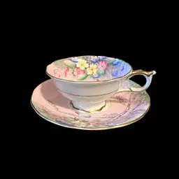 Paragon Tea Cup and Saucer Set Pink Floral Landscape with Birch Trees Fine Bone China Double Warrant