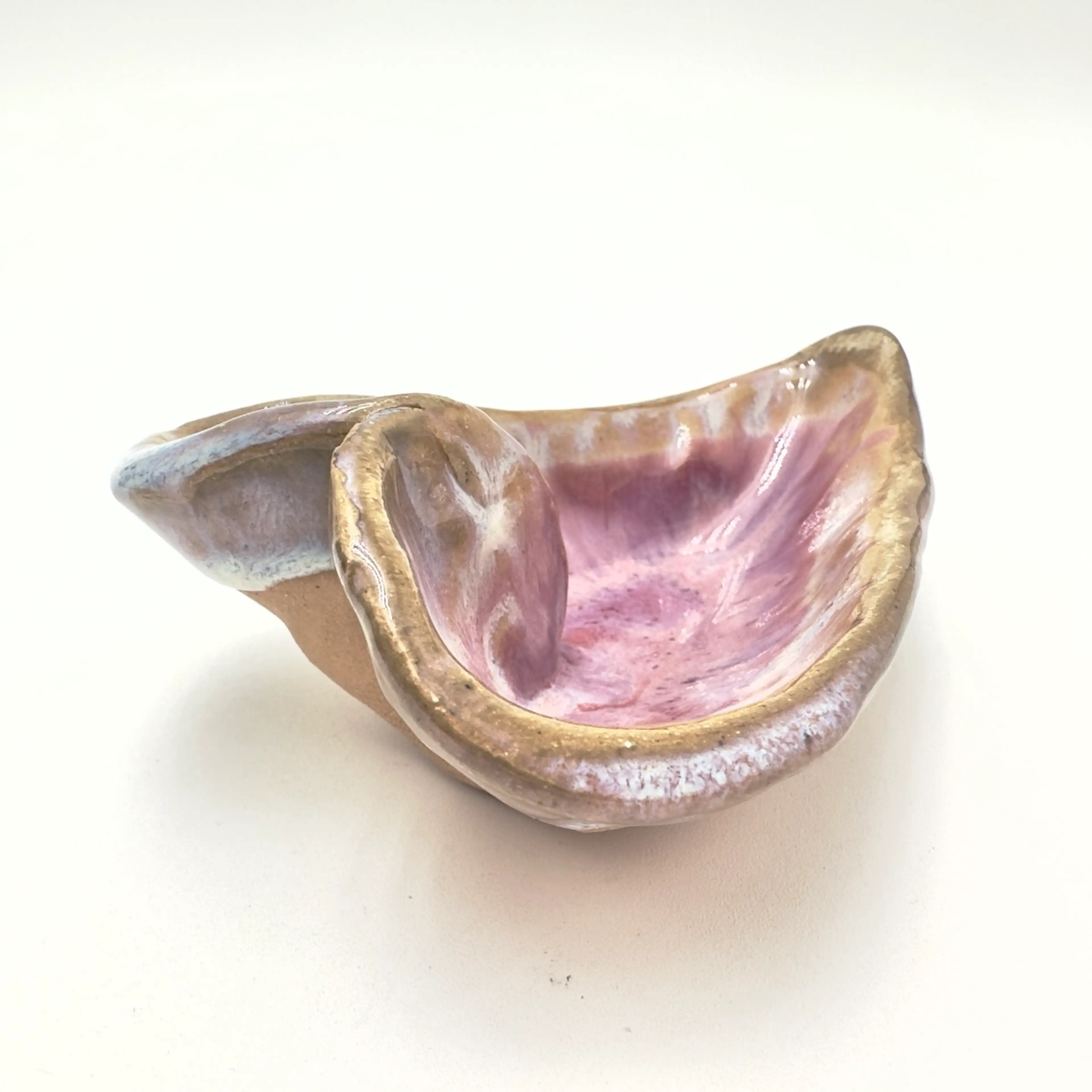 Image 3 of 14