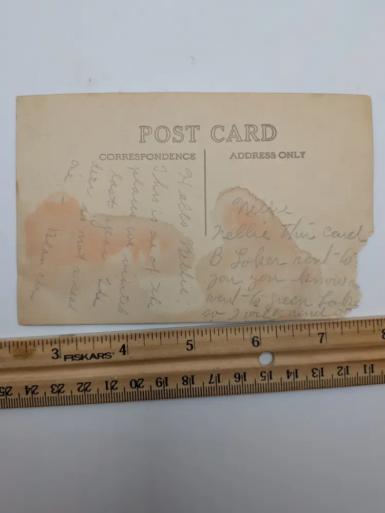 E80. Photography postcard antique BUCK DEER GREEN LAKE WISCONSIN black and white