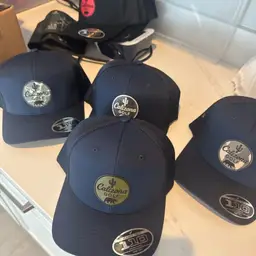 1 Of 1 Calizona Branded Hat