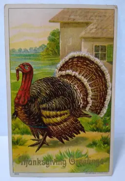 Thanksgiving Greeting Postcard Turkey Julius Bien 1908 Embossed Toledo Ohio 9203