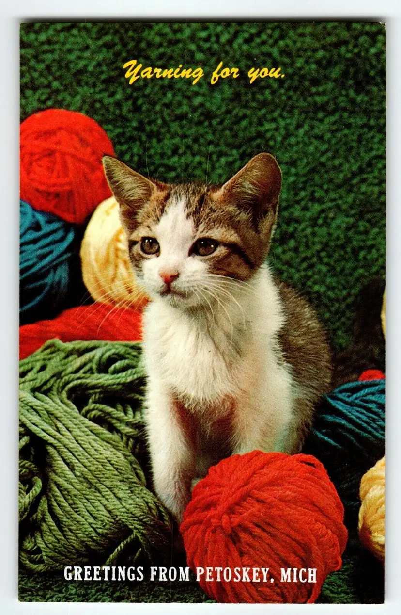 Calico Cat Greetings From Petoskey Michigan Yarn Balls Kitten Postcard Chrome