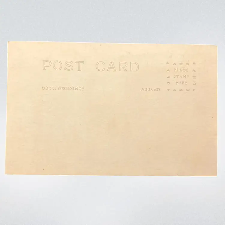 Antique Photo Postcard Girl With Curls