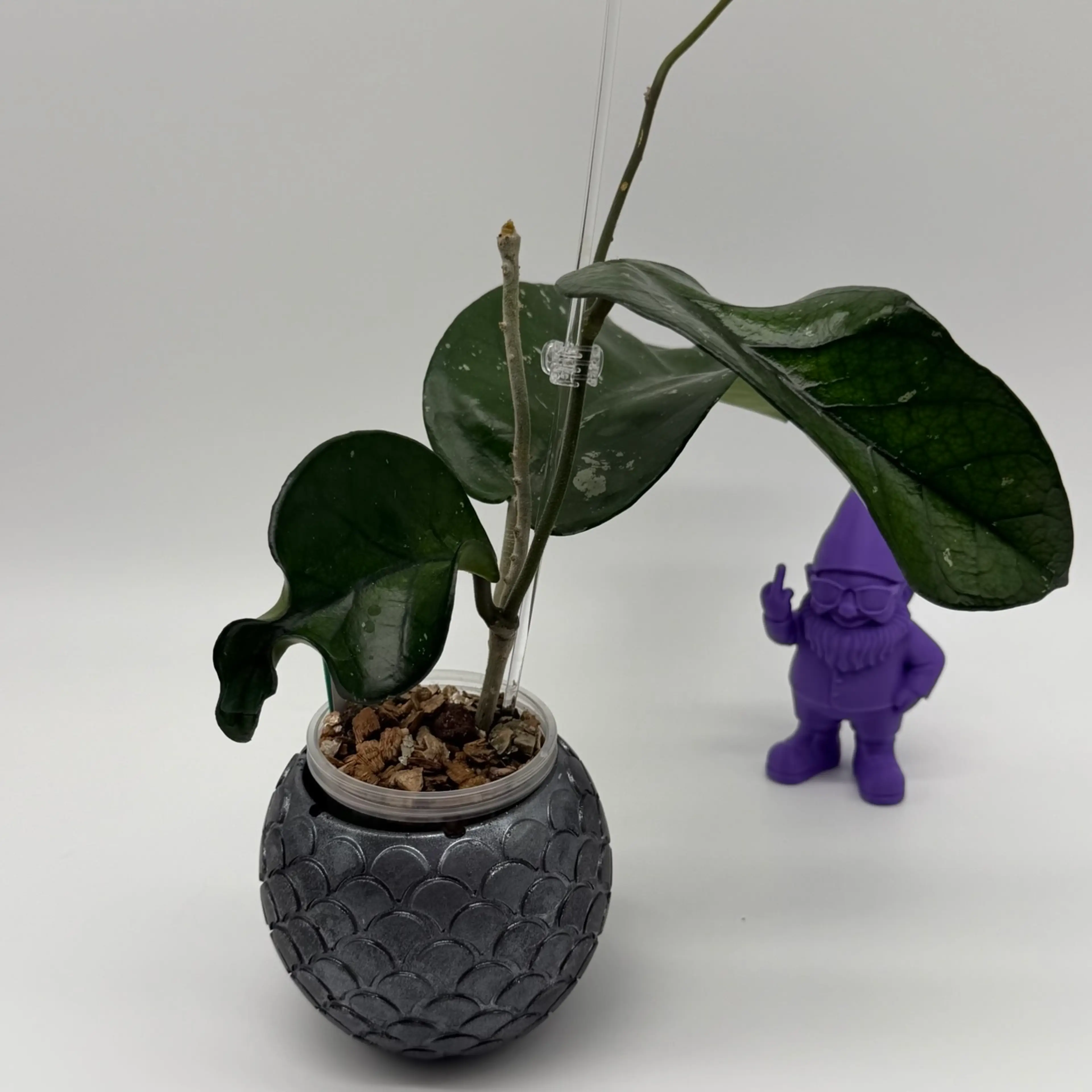 Image 3 of 4