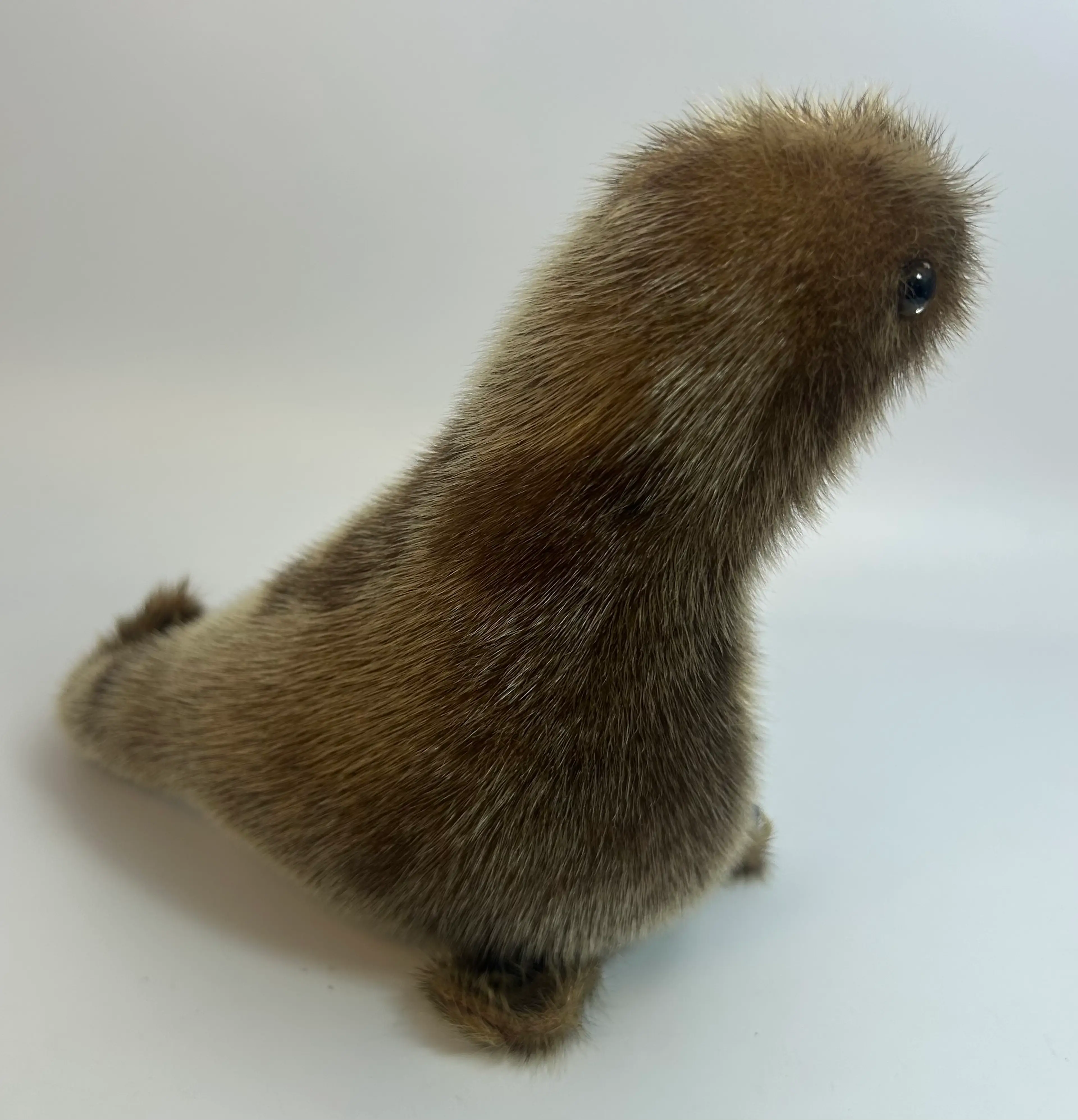 Image 4 of 10