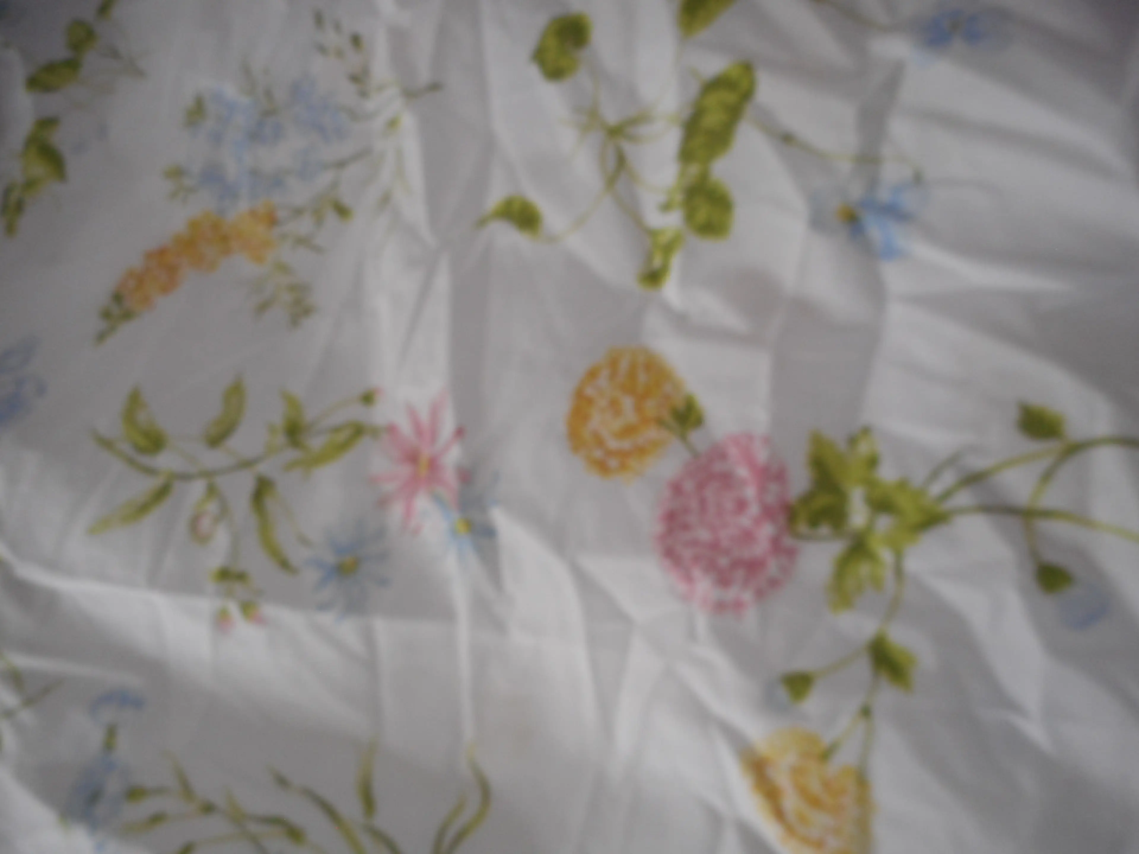 Image 2 of 6