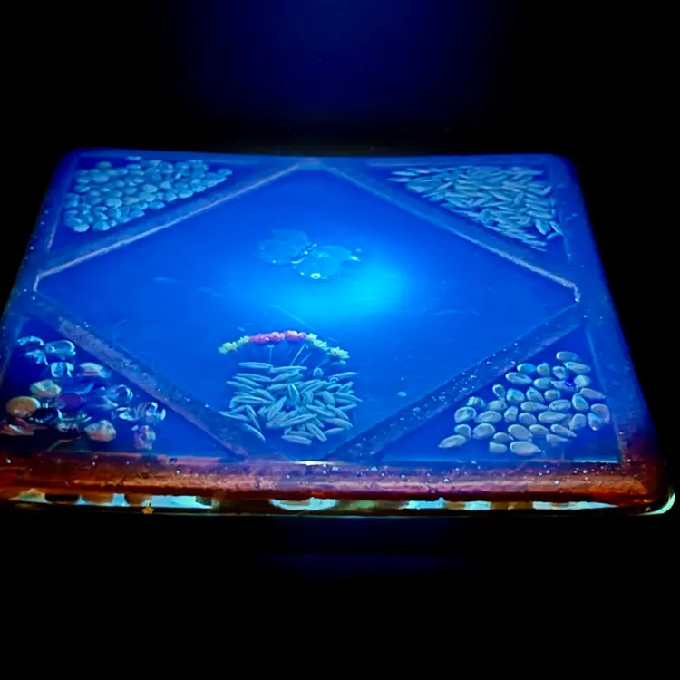 Retro Lucite Seeds, Dried Flowers & Butterfly Trivet UV Glow 7.75”