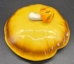 Sears 1976 merry mushroom canister lid only