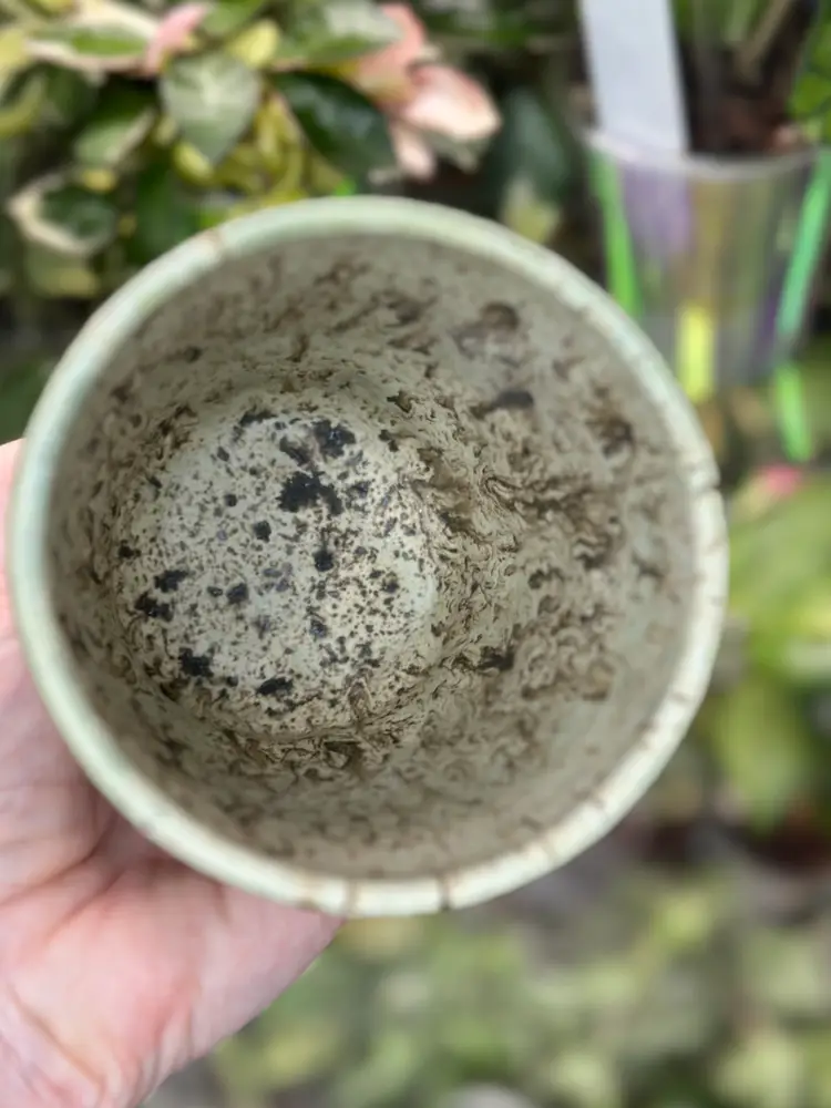 #24 Handmade pot, no drainage 3.75