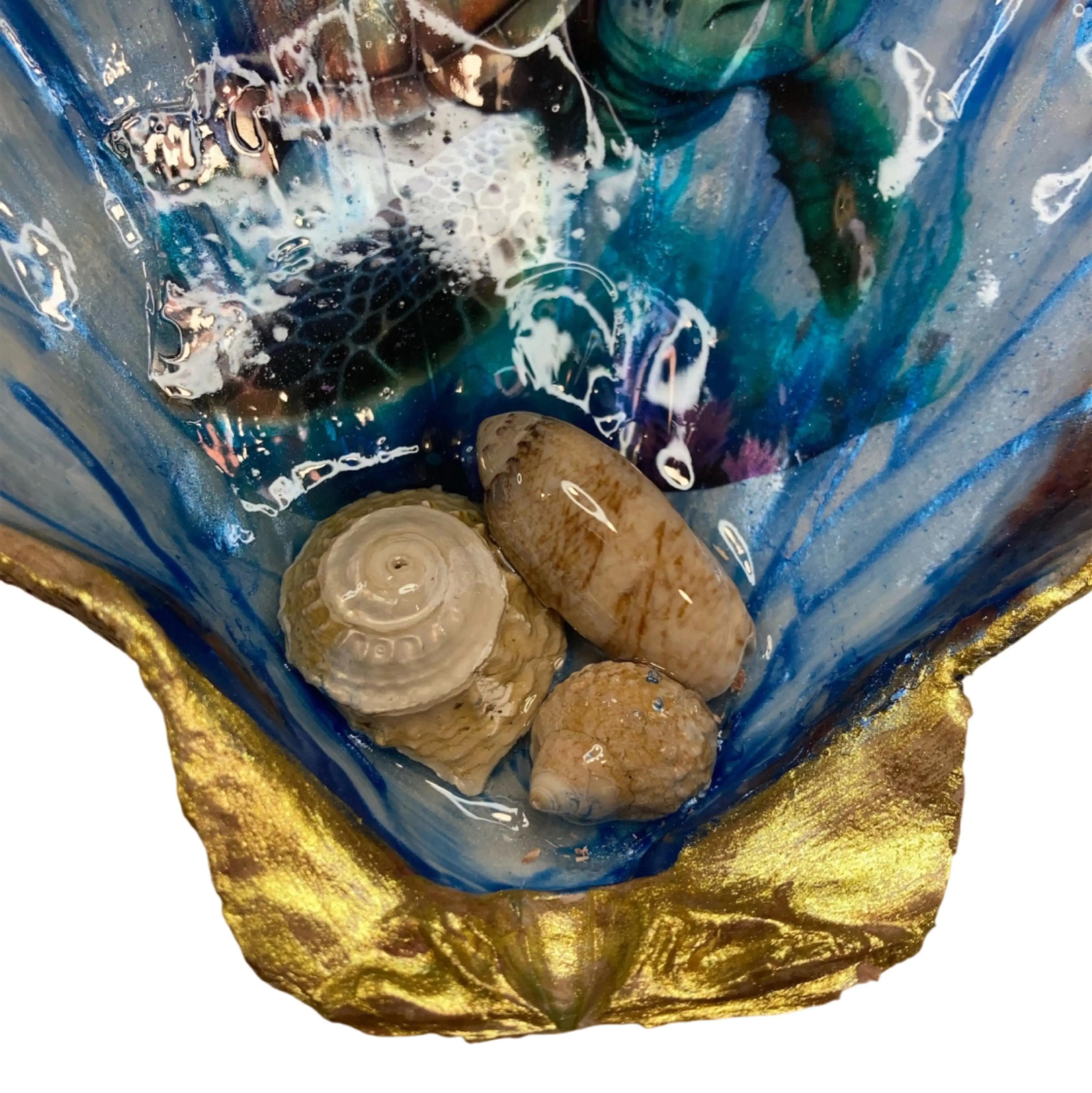 Image 4 of 5