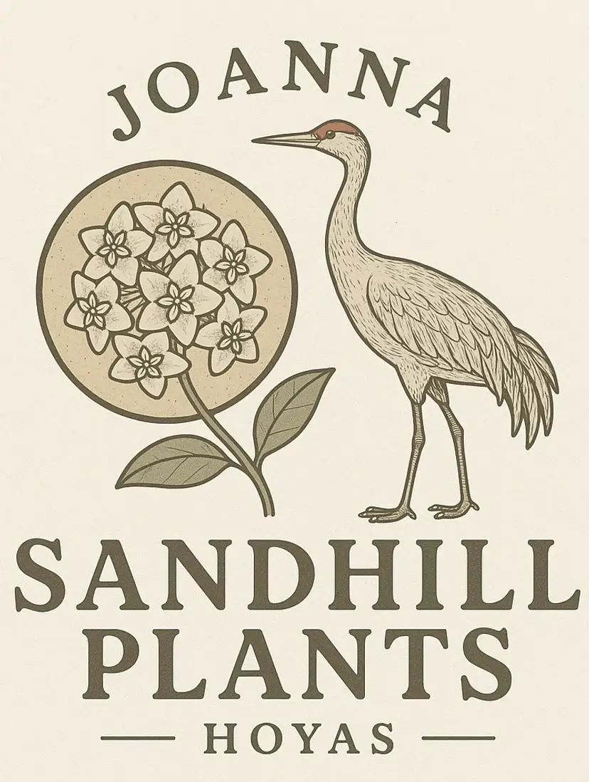 Livestream thumbnail