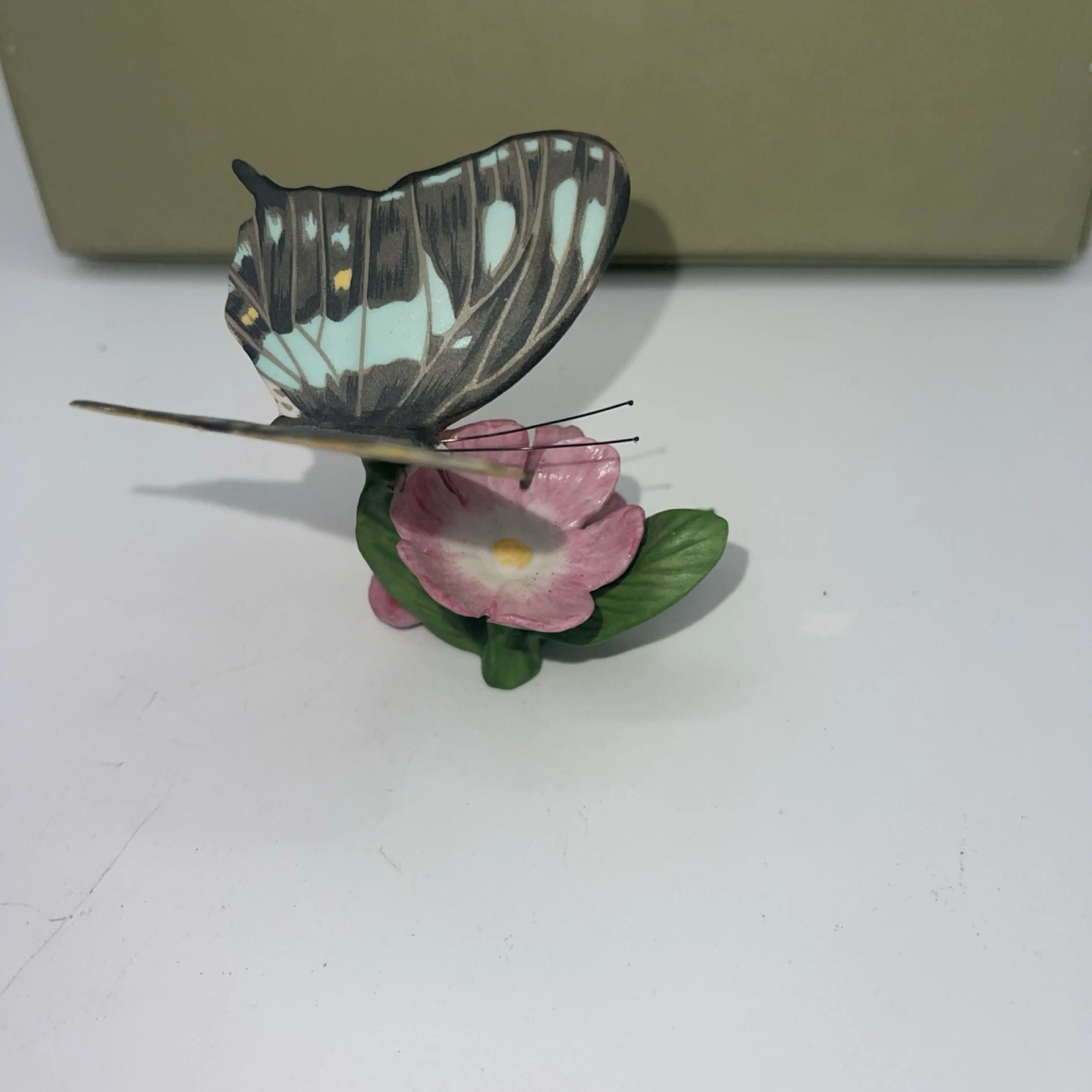 Image 5 of 8