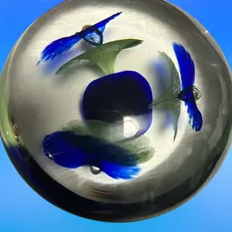 Art Glass Round 3” Wide Paper Weight
Ca D’oro Seguso Style, Made In Brazil Cobalt Blue Floral Excellent Clarity Great Christmas Gift Idea!!!