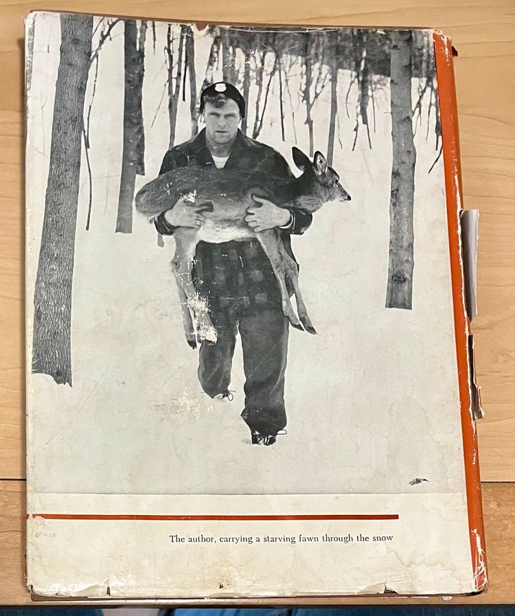 1962 The World of the White-Tailed Deer by Leonard Lee Rue III HCDJ Text Photos