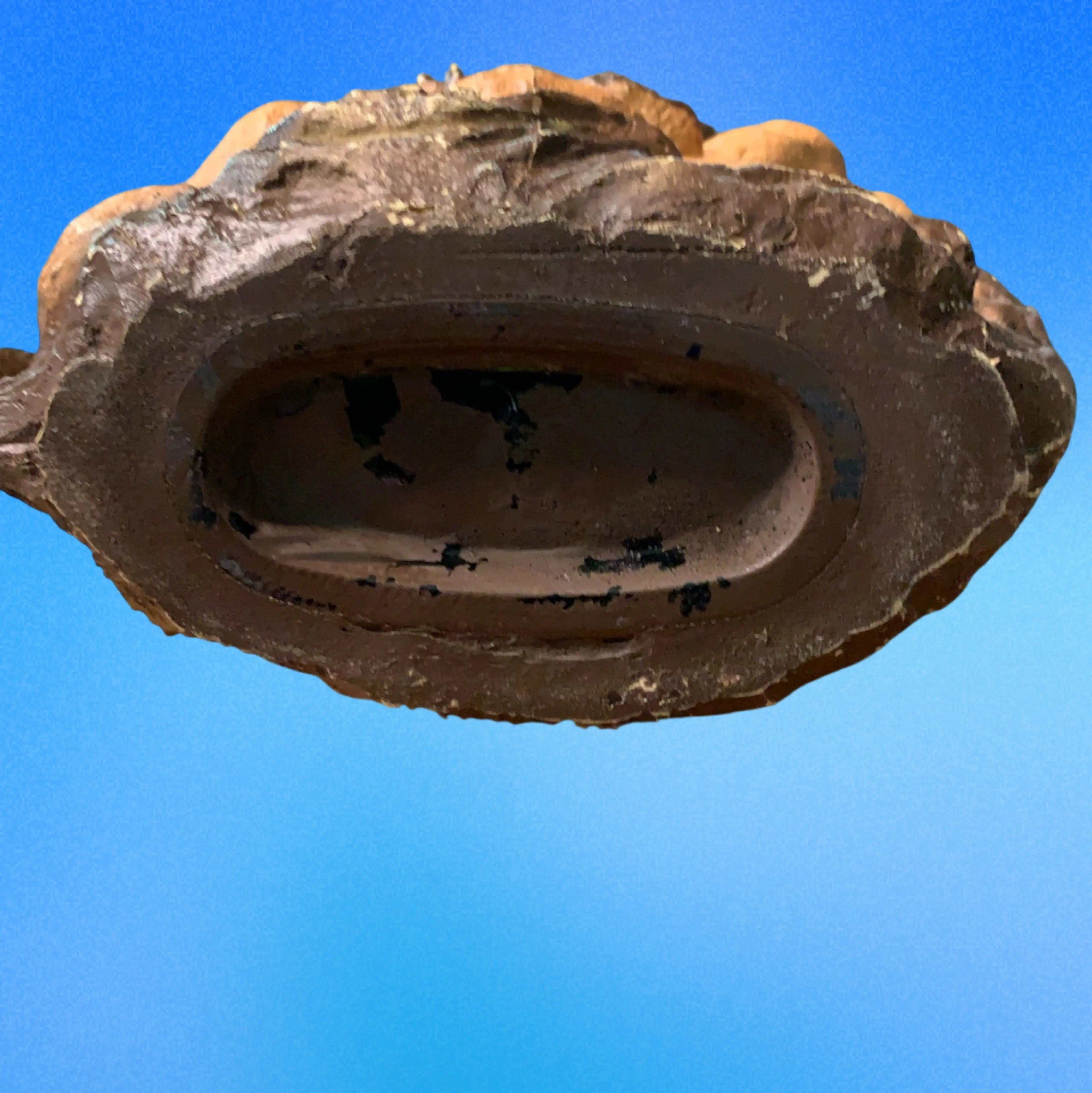 Image 2 of 5