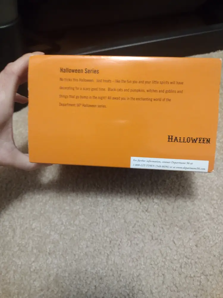 DEPT 56 SNOW VILLAGE HALLOWEEN A GRAVELY HAUNTING 2009 ACCESSORY 807306