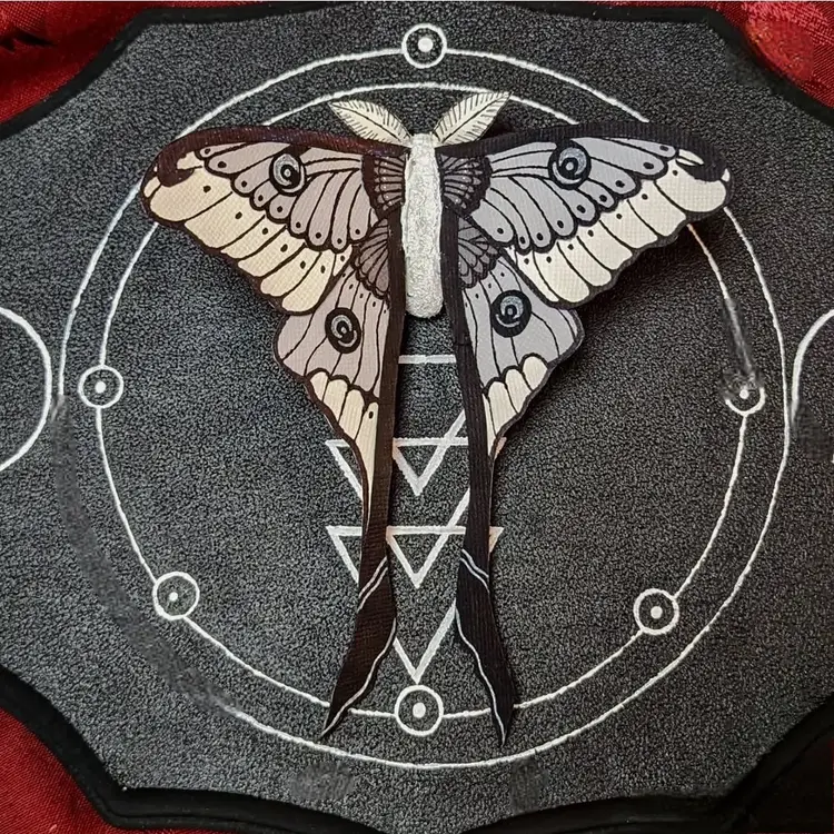 Black White Gray Luna Moth