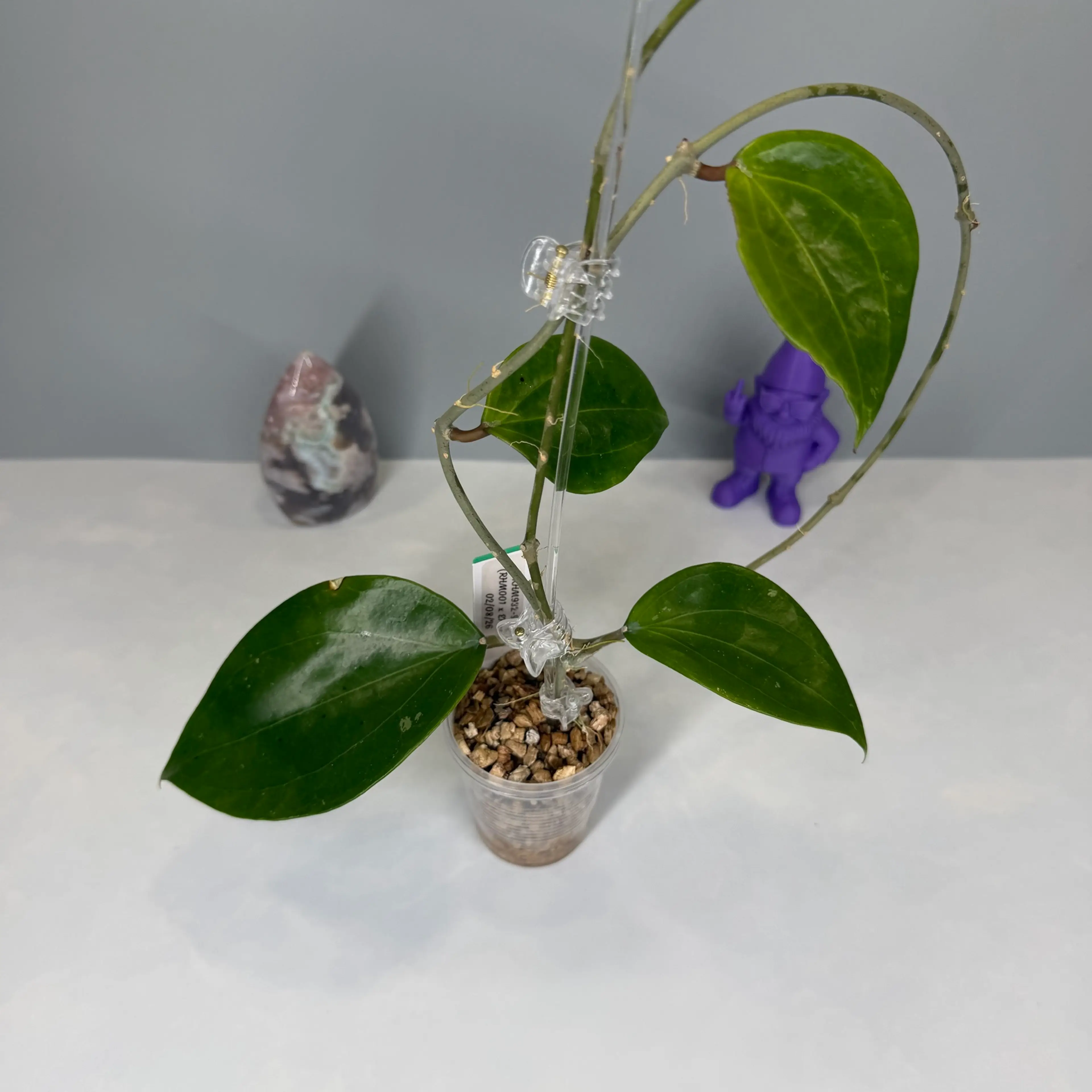 Image 2 of 2