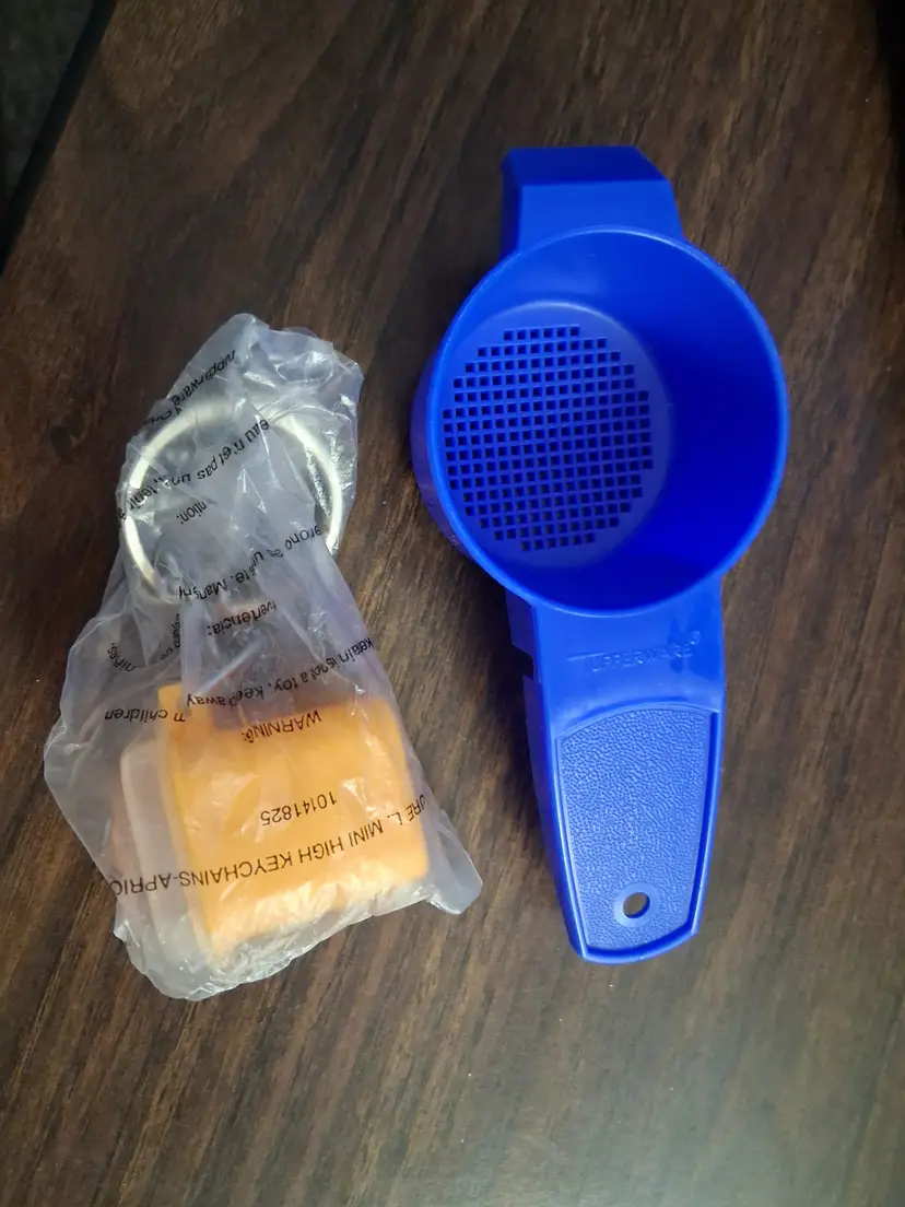 Vintage Tupperware Citrus Juicer with Keychain