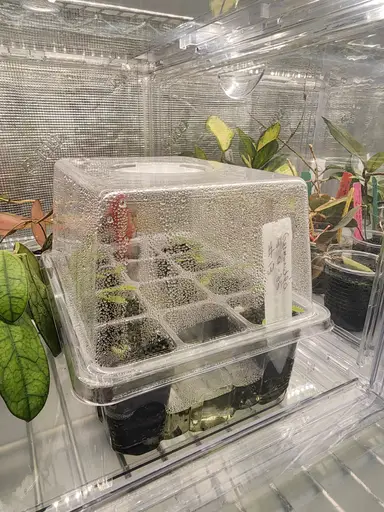 Prop Box Confessions IV