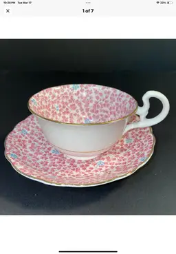 Vintage Radfords Bone China Floral Chintz Teacup and Saucer ~ England