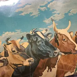 #03 - Random Ephemera Pull-Shown Live!