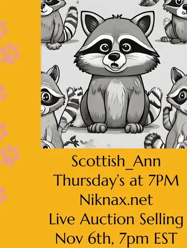 Jewelry 💎 Glass🍸 Pottery🫖 Pictures 🖼️ Lots Of Odd Stuff 