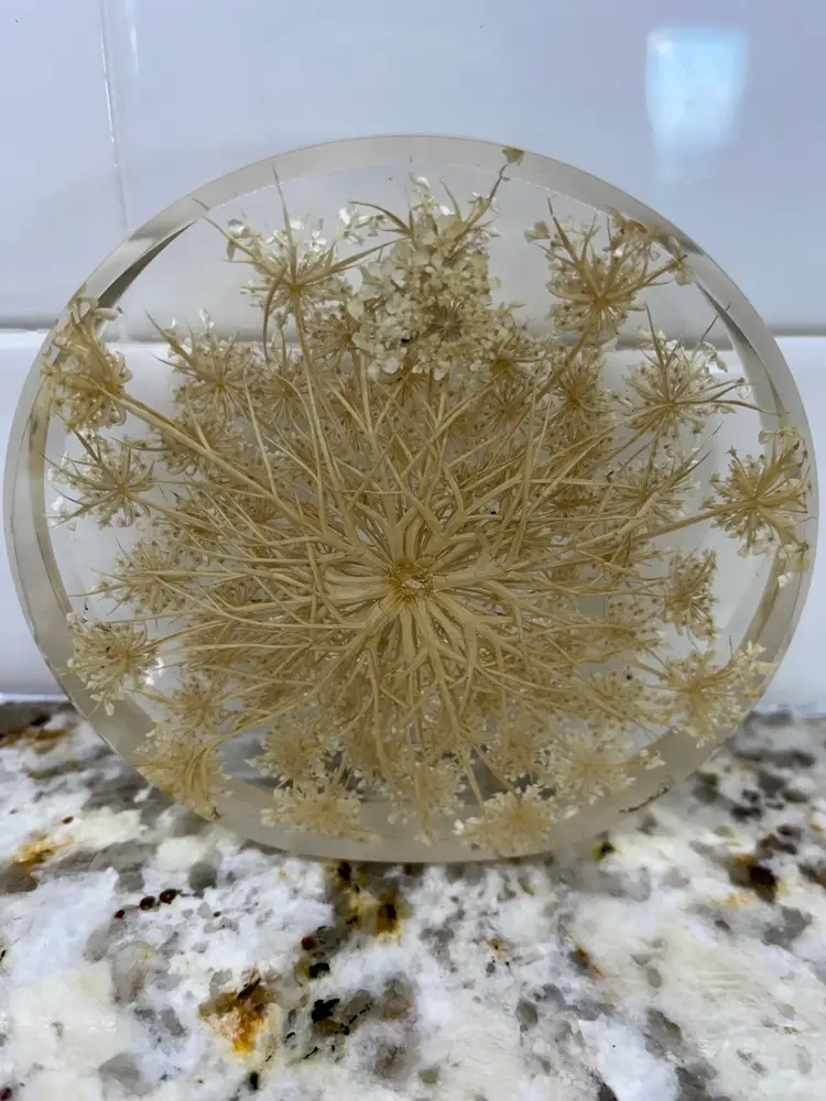 VTG Lucite Dried Flower Decor Paperweight (?) 4.5”