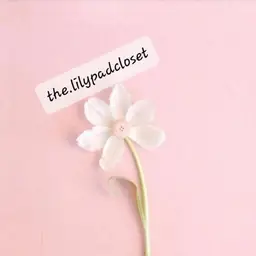 thelilypadcloset