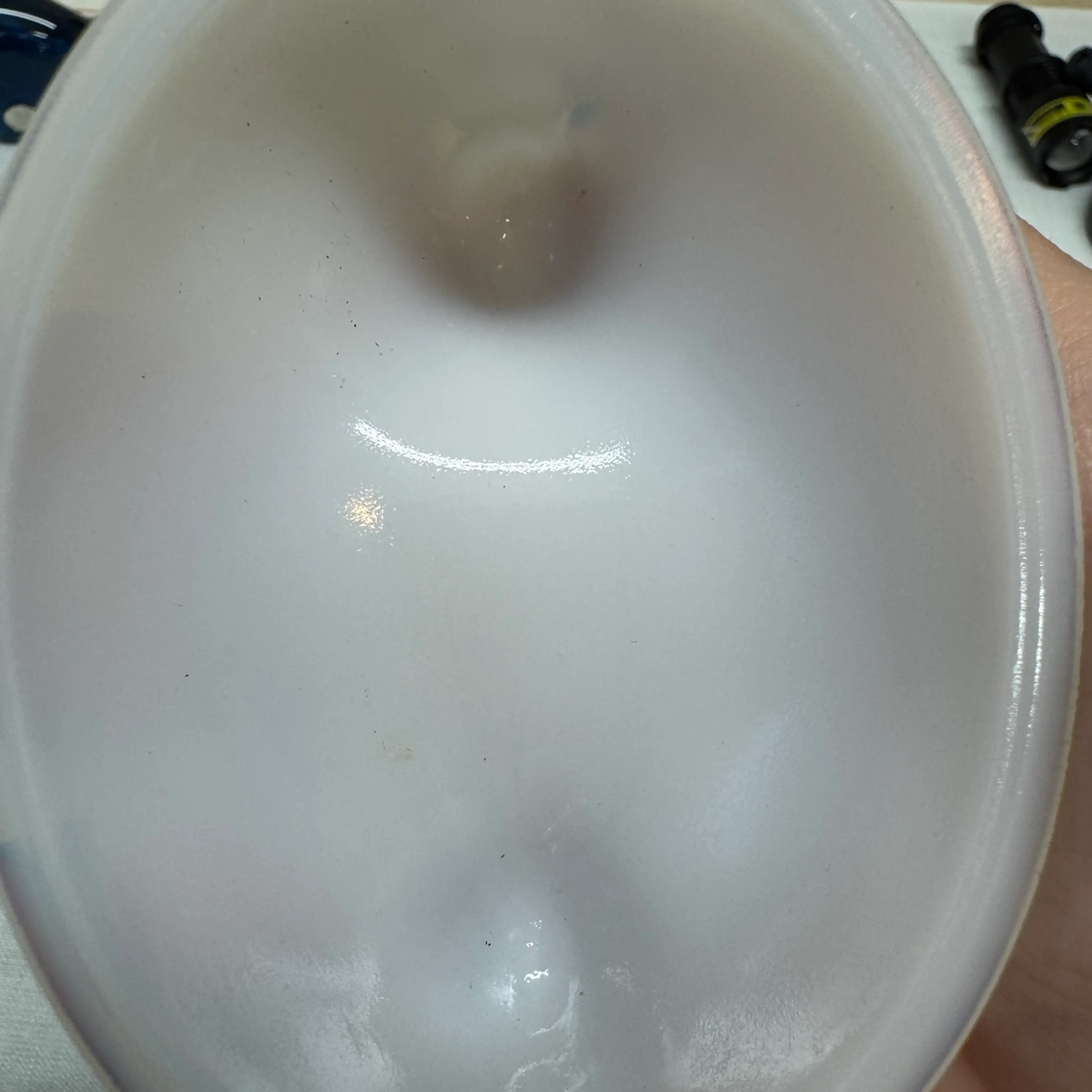 Image 5 of 5