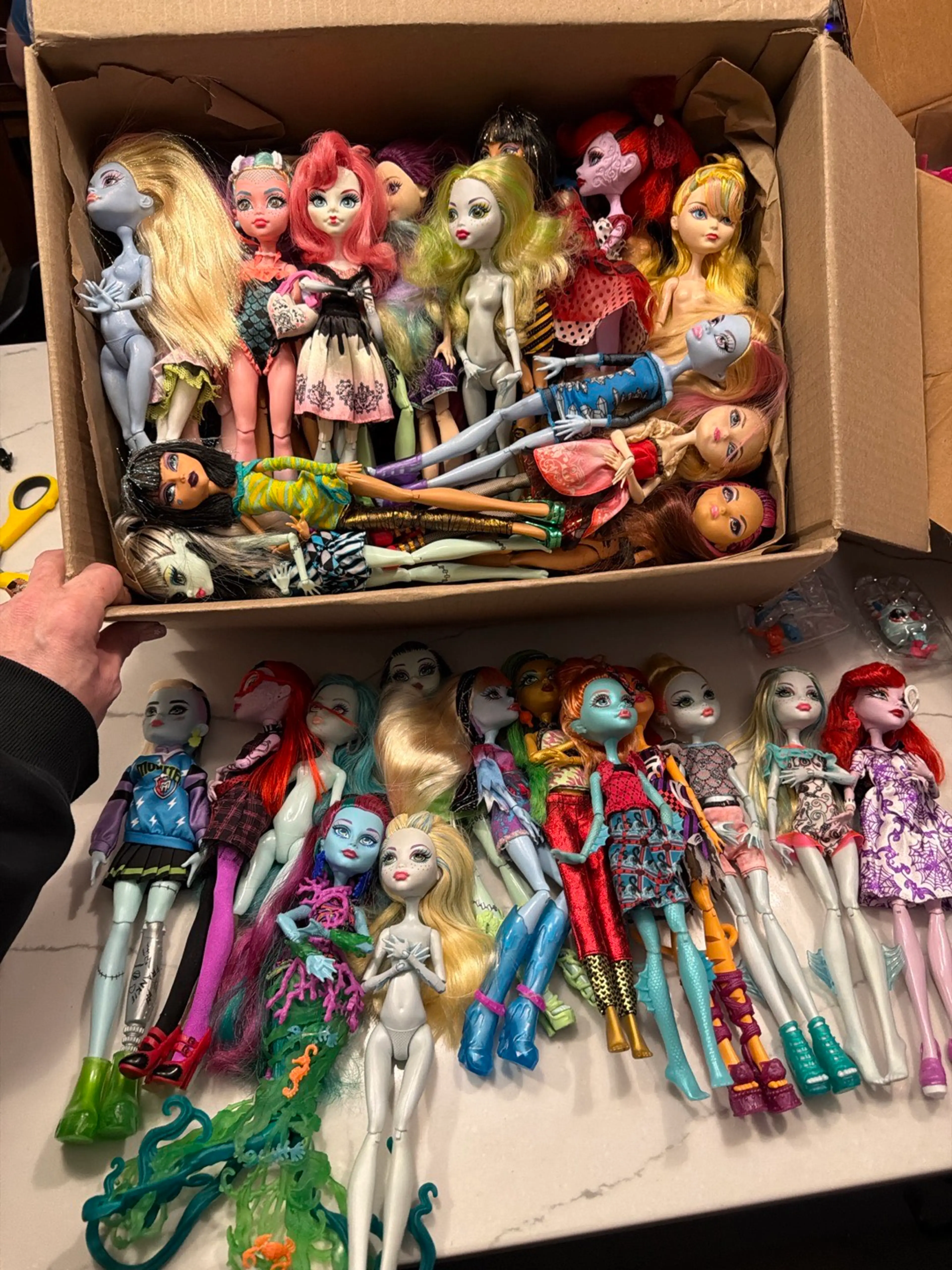 Monster High !!! Dolls, Stands And Accessories 