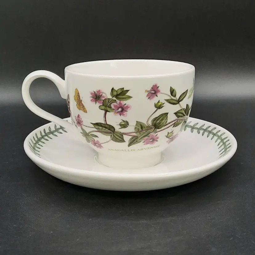 Portmeirion Botanic Garden Pimpernel Anagallis Arvensis Tea Cup and Saucer