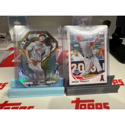 Trout Lot With Diecut