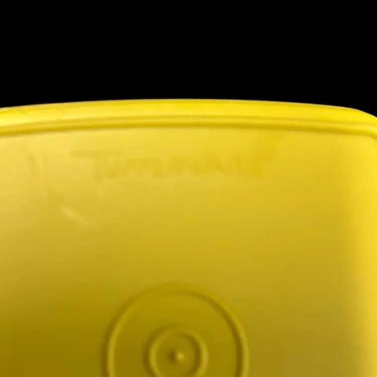 Tupperware Pick-a-Deli Container