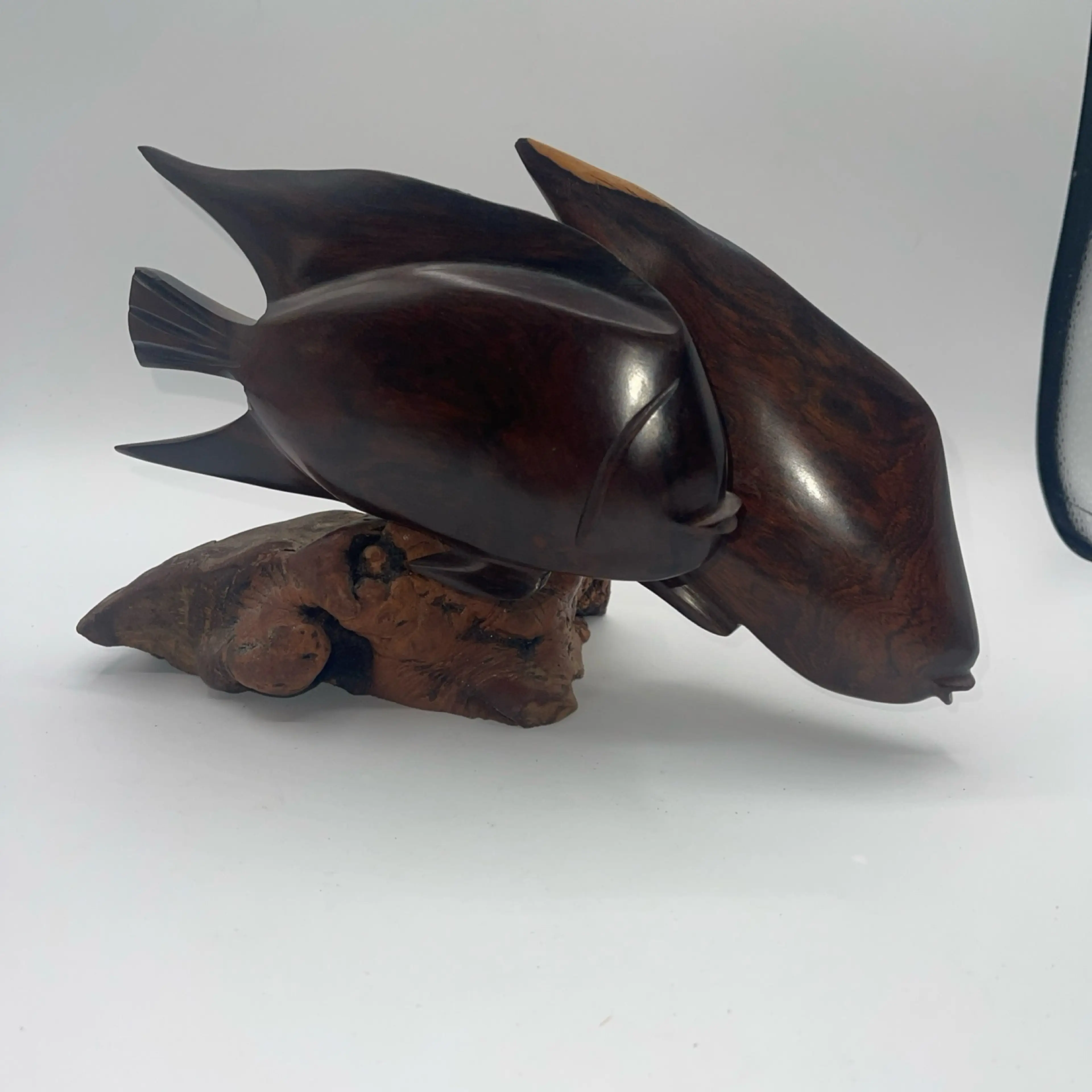 Image 2 of 14