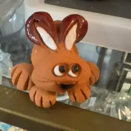 Costa Rica Mini Rabbit