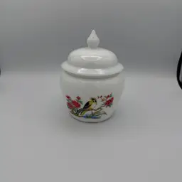 Vintage Avon Ginger/Apothecary Jar